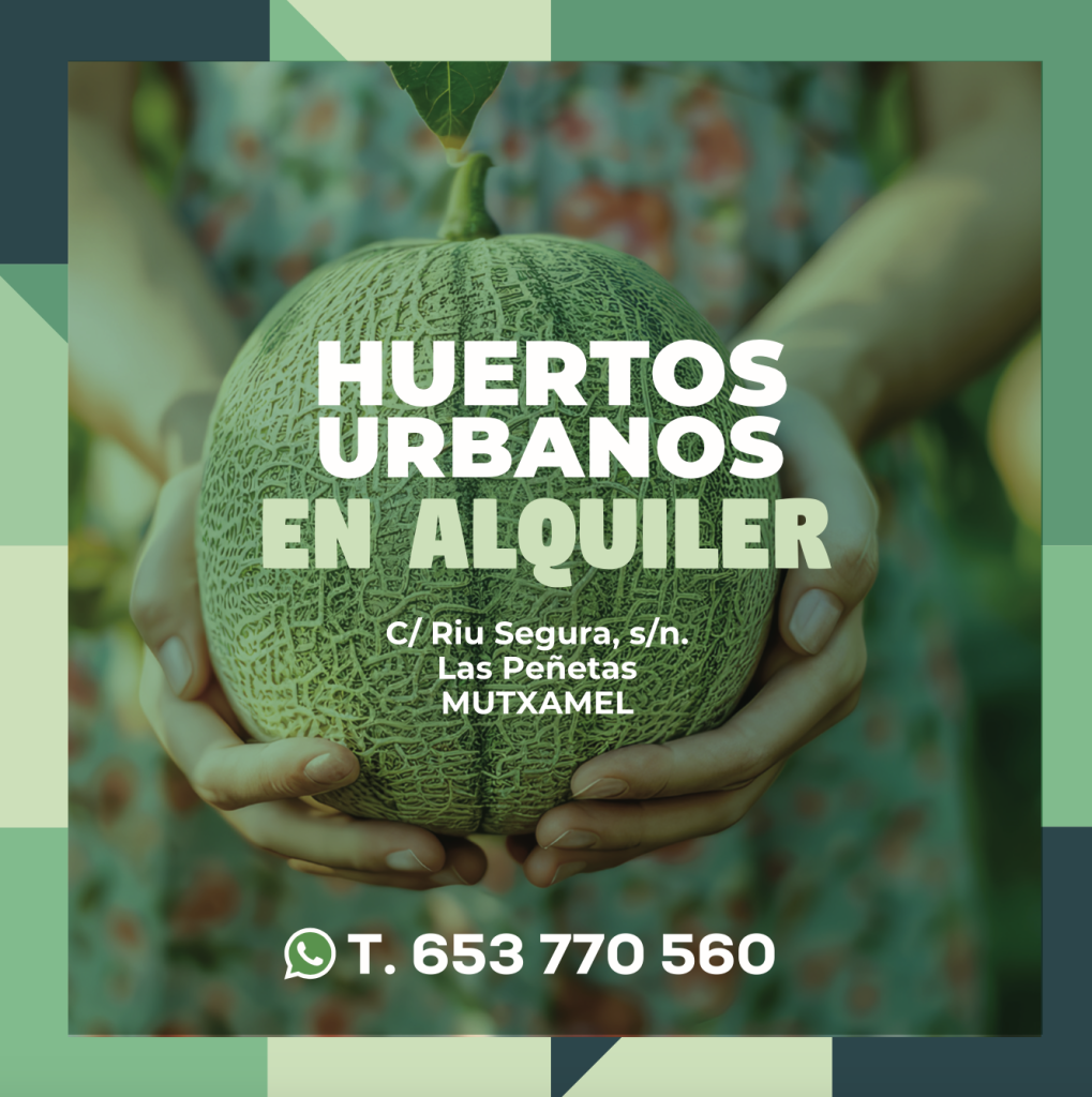 para invidentes